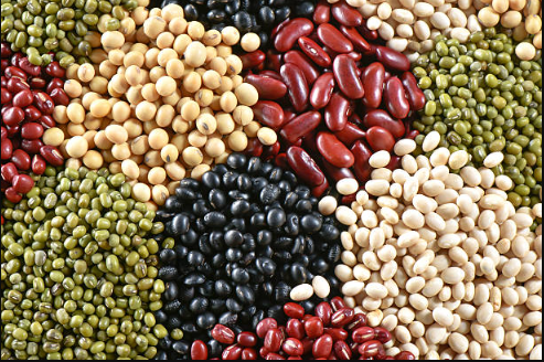 Beans