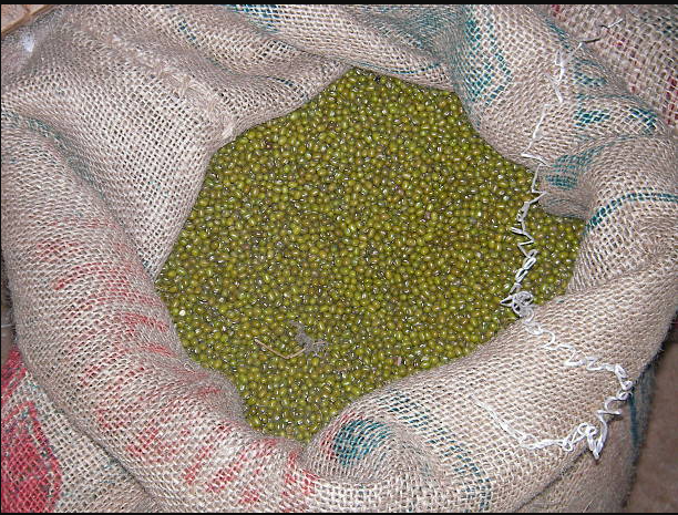Green Grams
