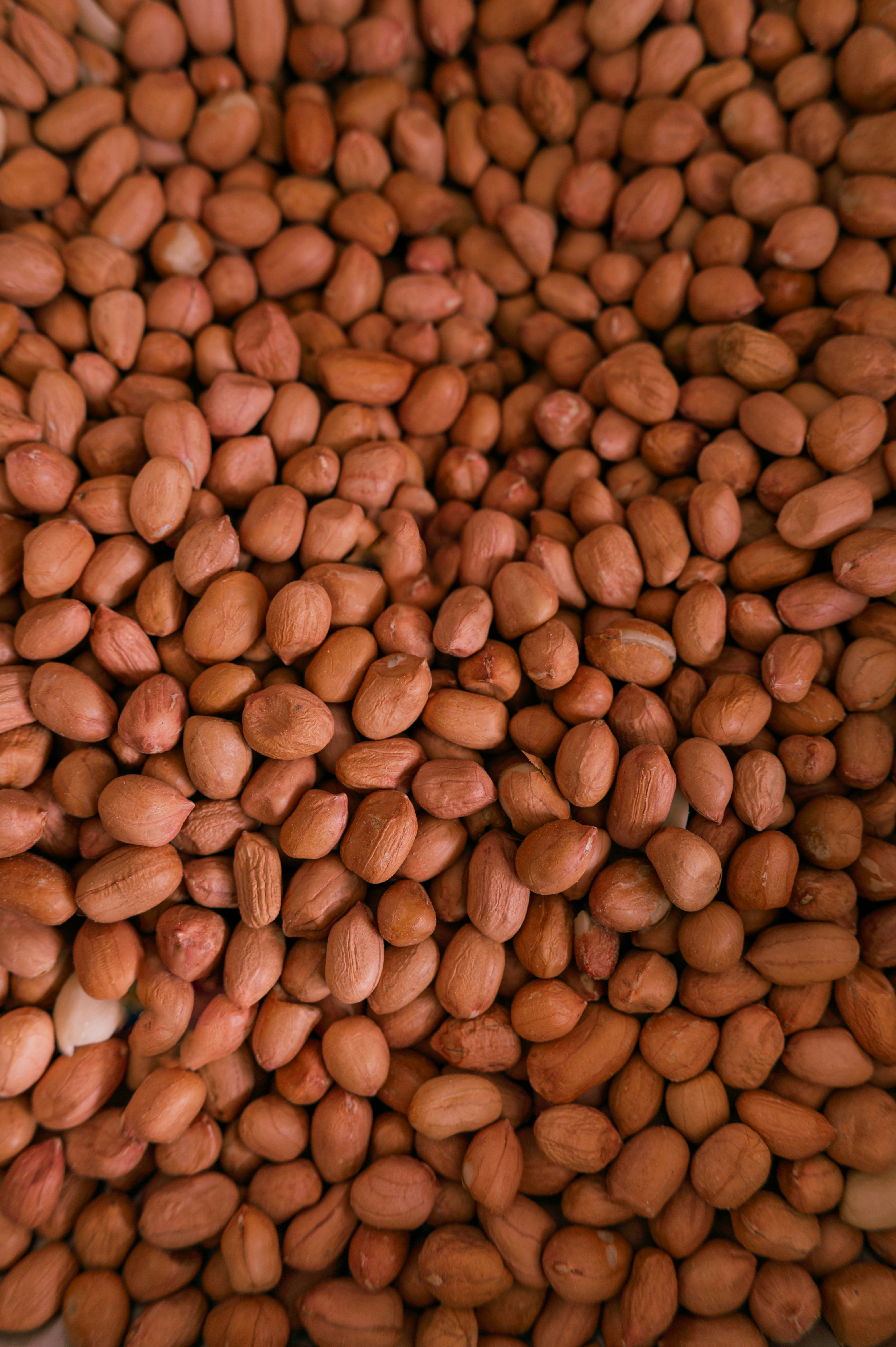 Groundnuts