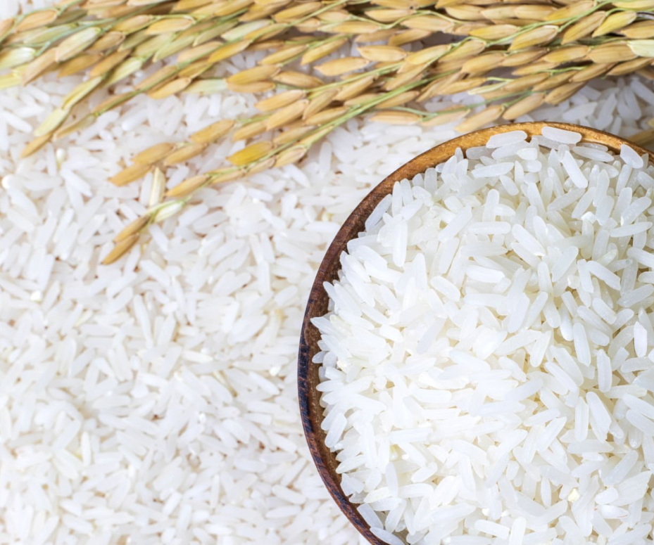 Rice