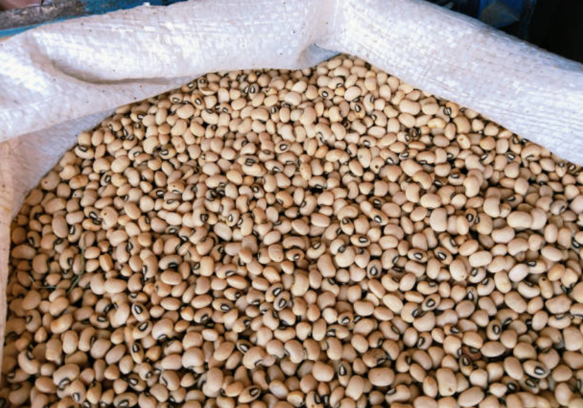 Animal Feeds
