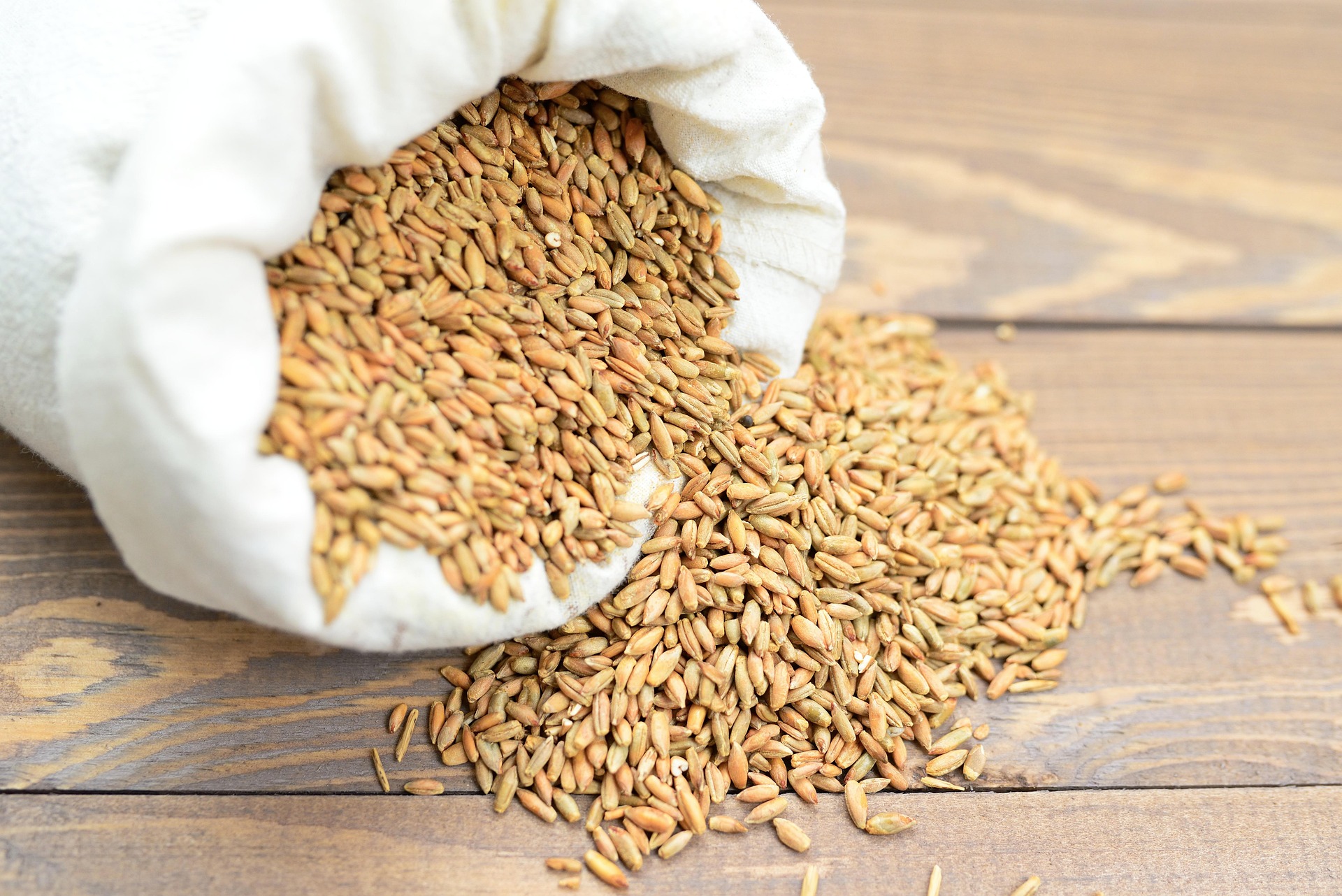 Wheat
