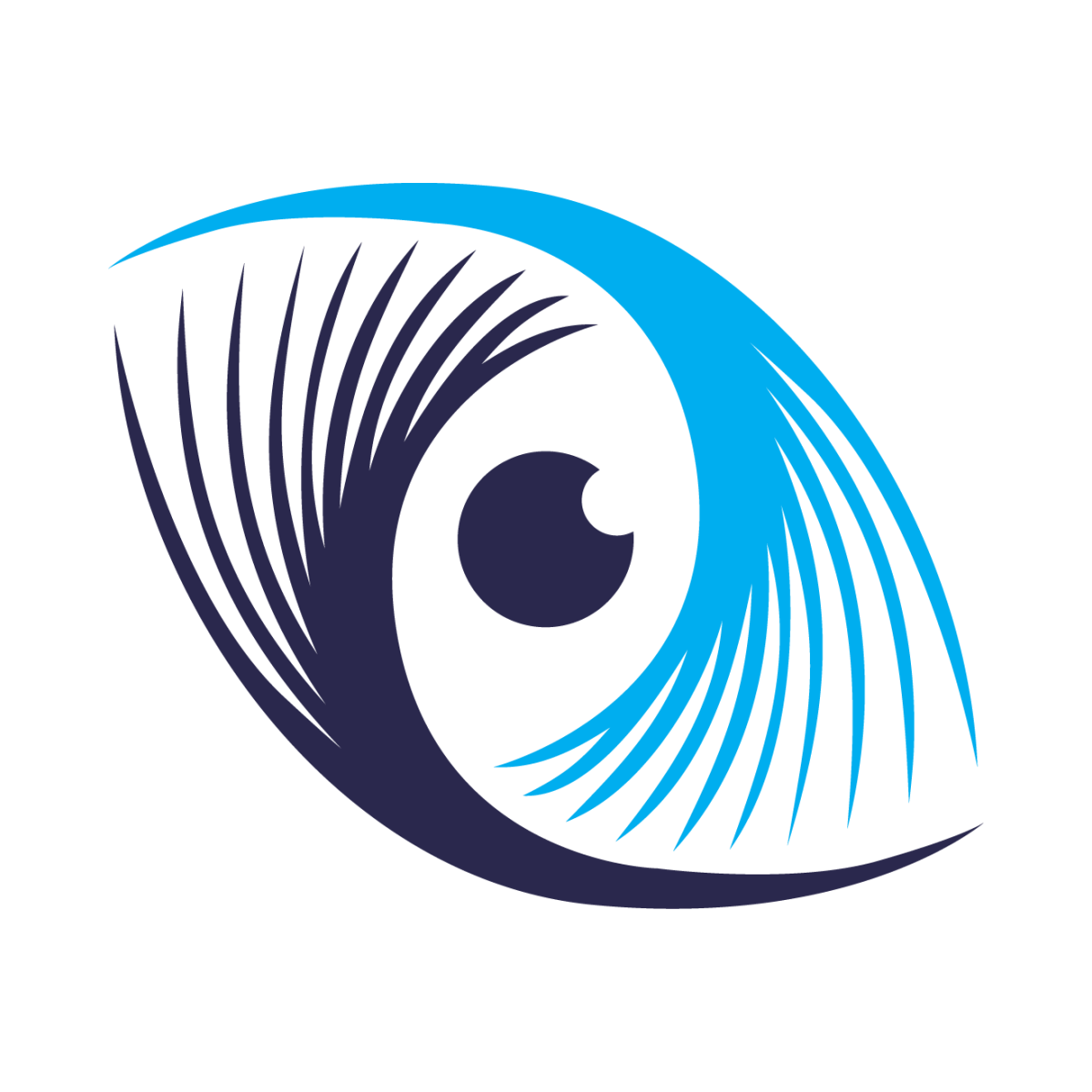 Vision Icon